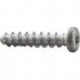 Vis à béton CELO BTS5 PT 5-30/5 Pan head TX25 ZnAl (Par 100)
