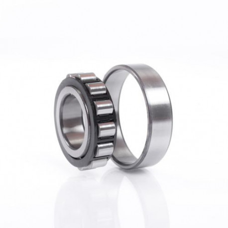 Roulements à billes rouleaux cylindriques N319 W 45mm Ext. 200mm Int. 95mm cylindrique Bohr.NSK