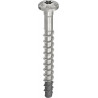Vis d'ancrage MULTI-MONTI-plus P 7.5x55/5/20 A4 (Par 50)