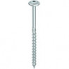 HECO-TOPIX-plus Telko TD 6.0 x 100 TG znbl T25