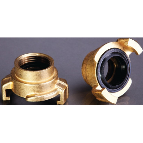 Filet rapporté laiton filetage int. 1 po. APD