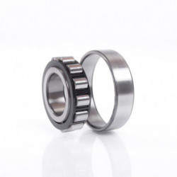 Roulement à rouleaux cylindriques N310 ECP ID 50mm AD 110mm larg. 27mm SKF 