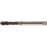 Taraud machine pour trous borgnes, surface traitée à la vapeur, DIN 371 C, Filetage M10, Pas 1,5 mm, Long. totale : 100 mm, queue Ø 10,0 mm