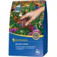 Graine fleur 250Taille