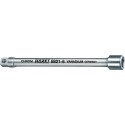 Rallonge carré creux 3/8" 254 mm
